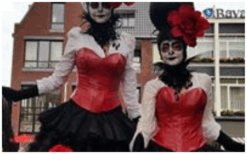 Halloween Steltenlopers brengen spanning, mysterie en griezelige sfeer naar elk evenement. Perfect voor festivals, winkelcentra en ontvangst. Een opvallende Halloween-act vol magie en horrorbeleving.