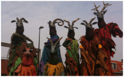 Ervaar betoverende Afrikaanse dans met Antilopen Steltenlopers. Natuur, cultuur, en interactie komen samen in dit unieke schouwspel!
