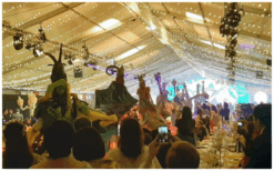 Ervaar betoverende Afrikaanse dans met Antilopen Steltenlopers. Natuur, cultuur, en interactie komen samen in dit unieke schouwspel!