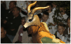 Ervaar betoverende Afrikaanse dans met Antilopen Steltenlopers. Natuur, cultuur, en interactie komen samen in dit unieke schouwspel!