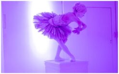 De Dansende Ballerina Levend Standbeeld brengt elegantie en rust naar elk evenement. Vanaf haar sokkel komt zij sierlijk tot leven zodra de muziek begint. Haar vloeiende bewegingen trekken direct de aandacht van het publiek. Een stijlvolle act voor bijzondere gelegenheden. Perfect als ontvangstentertainment bij gala’s, bruiloften en klassieke events. Ook uit te breiden met live muziek voor een extra verfijnde beleving.