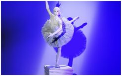 De Dansende Ballerina Levend Standbeeld brengt elegantie en rust naar elk evenement. Vanaf haar sokkel komt zij sierlijk tot leven zodra de muziek begint. Haar vloeiende bewegingen trekken direct de aandacht van het publiek. Een stijlvolle act voor bijzondere gelegenheden. Perfect als ontvangstentertainment bij gala’s, bruiloften en klassieke events. Ook uit te breiden met live muziek voor een extra verfijnde beleving.