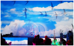 Ervaar de magie van Bubble Contortion Acrobatiek: betoverende schoonheid en kracht in deze unieke grondacrobatiekshow!