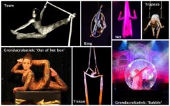 Betoverende luchtacrobatiek met keuze uit 2 acts zoals Ring, Net, Touw, Trapeze, Tissue, of Grond Acrobatiek. Ontdek de magie van beweging en zwaartekracht!