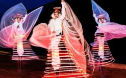 Engel van Licht steltenlopers met grote verlichte vleugels en LED verlichting tijdens een evenement in de avond