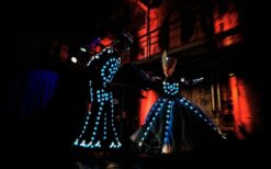 LED steltloper boeken voor festival of event? De LED Prins Steltenloper is een opvallende lichtact met interactieve performance. Ideaal voor avond events, winkelcentra en lichtfestiva