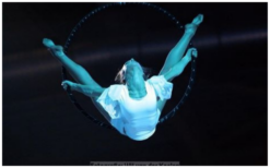 Ervaar de betovering van de Ring Act: hemelse luchtacrobatiek vol schoonheid en kracht. Boek nu voor een magische show! 🌌