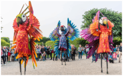 Laat je publiek onderdompelen in de kleurrijke pracht van de Vrolijke Papegaaien Steltenlopers en creëer een onvergetelijke ervaring vol dans, kleur, en ondeugende humor!