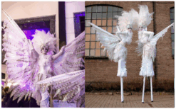 Ervaar betovering met de metershoge Witte Vredes Duifjes Steltenlopers. Symbolen van hoop en liefde voor diverse evenementen. Boek nu voor een visueel spektakel!