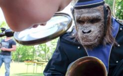 De Aap met het Kleinste Orgeltje is een unieke straattheateract met een minidraaiorgel en levensechte aap. Mobiel entertainment vol humor en verwondering, perfect voor winkelcentra, kerstmarkten en evenementen.