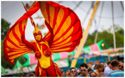 Rood Gele Vuur Vogels Steltenlopers brengen vurige kleuren, hoogte en spektakel naar elk event. Perfect voor festivals, ontvangst en winkelcentra. Een opvallende, energieke act vol warmte en visuele kracht.