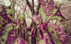 Lente steltenlopers in paars en groen kostuum tijdens kleurrijke steltenlopers act op festival of evenement.