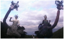 Ervaar de majestueuze parade van Struisvogels Steltenlopers en breng een kleurrijk en vriendelijk element naar uw evenement!