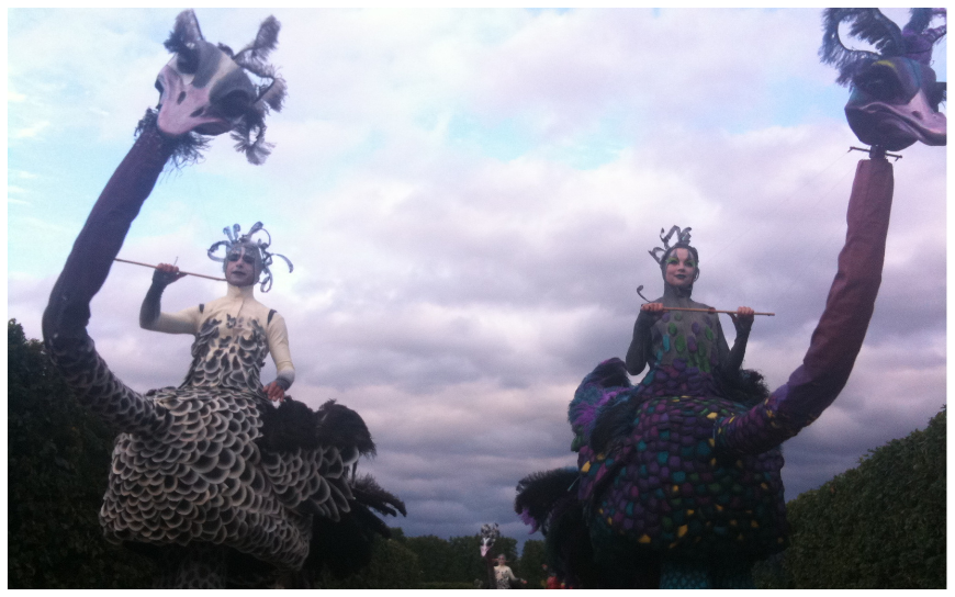 Ervaar de majestueuze parade van Struisvogels Steltenlopers en breng een kleurrijk en vriendelijk element naar uw evenement!