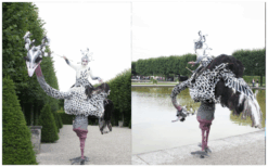 Ervaar de majestueuze parade van Struisvogels Steltenlopers en breng een kleurrijk en vriendelijk element naar uw evenement!