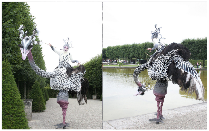 Ervaar de majestueuze parade van Struisvogels Steltenlopers en breng een kleurrijk en vriendelijk element naar uw evenement!