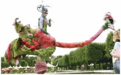 Ervaar de majestueuze parade van Struisvogels Steltenlopers en breng een kleurrijk en vriendelijk element naar uw evenement!