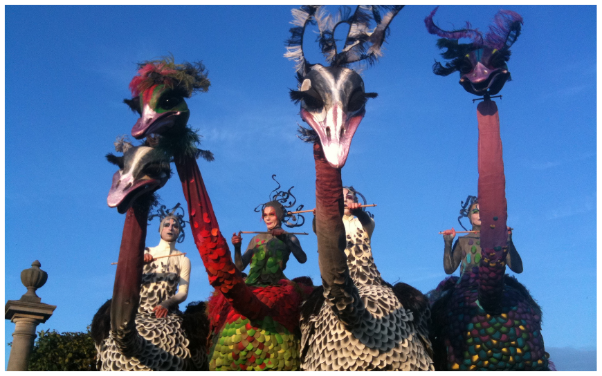 Ervaar de majestueuze parade van Struisvogels Steltenlopers en breng een kleurrijk en vriendelijk element naar uw evenement!