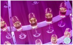 Champagne Diva Zacht Roze: Elegante catering op wielen! 🥂✨ Deze stijlvolle diva rijdt rond in een zachte roze champagne-rok op wielen, gevuld met meer dan 100 glazen of hapjes. Haar sierlijke uitstraling en LED-verlichting maken haar perfect voor chique bruiloften, bedrijfsfeesten of beurzen. Een unieke en feestelijke manier om gasten te verwennen! Of het nu een gala, kerstfeest of netwerkbijeenkomst is, de Champagne Diva past perfect bij elk thema. Haar warme verlichting zorgt voor extra sfeer, vooral in de avond. Boek nu en geef je evenement een stijlvolle en bijzondere touch!