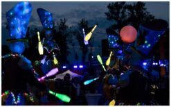 Boek Circus Straat Parade by Night voor spectaculair LED-circus entertainment. Met jongleurs, steltenlopers en livemuziek. Perfect voor festivals, winkelcentra en avondevents!