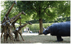 Laat je betoveren door het Liefdevolle Nijlpaard en haar Avontuurlijke Vriendin: Een Spektakel van Expressie en Vriendschap!