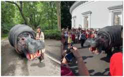 Laat je betoveren door het Liefdevolle Nijlpaard en haar Avontuurlijke Vriendin: Een Spektakel van Expressie en Vriendschap!
