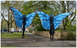 Blauwe Vlinders Steltenlopers brengen kleur, gratie en betovering naar elk event. Majestueus, opvallend en perfect voor festivals, ontvangst en winkelcentra. Een sprankelende act vol magie en beweging.