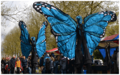 Blauwe Vlinders Steltenlopers brengen kleur, gratie en betovering naar elk event. Majestueus, opvallend en perfect voor festivals, ontvangst en winkelcentra. Een sprankelende act vol magie en beweging.