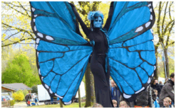 Blauwe Vlinders Steltenlopers brengen kleur, gratie en betovering naar elk event. Majestueus, opvallend en perfect voor festivals, ontvangst en winkelcentra. Een sprankelende act vol magie en beweging.