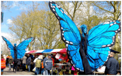 Blauwe Vlinders Steltenlopers brengen kleur, gratie en betovering naar elk event. Majestueus, opvallend en perfect voor festivals, ontvangst en winkelcentra. Een sprankelende act vol magie en beweging.