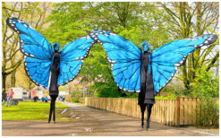 Blauwe Vlinders Steltenlopers brengen kleur, gratie en betovering naar elk event. Majestueus, opvallend en perfect voor festivals, ontvangst en winkelcentra. Een sprankelende act vol magie en beweging.