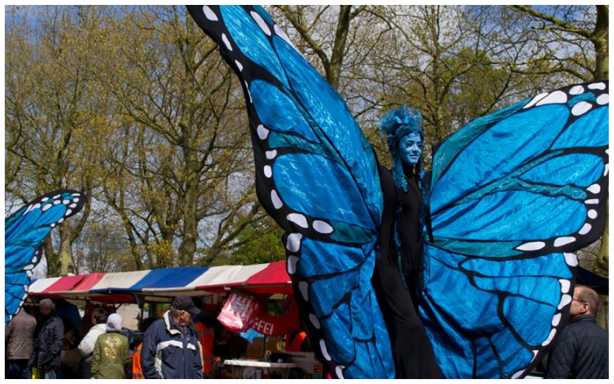 Blauwe Vlinders Steltenlopers brengen kleur, gratie en betovering naar elk event. Majestueus, opvallend en perfect voor festivals, ontvangst en winkelcentra. Een sprankelende act vol magie en beweging.