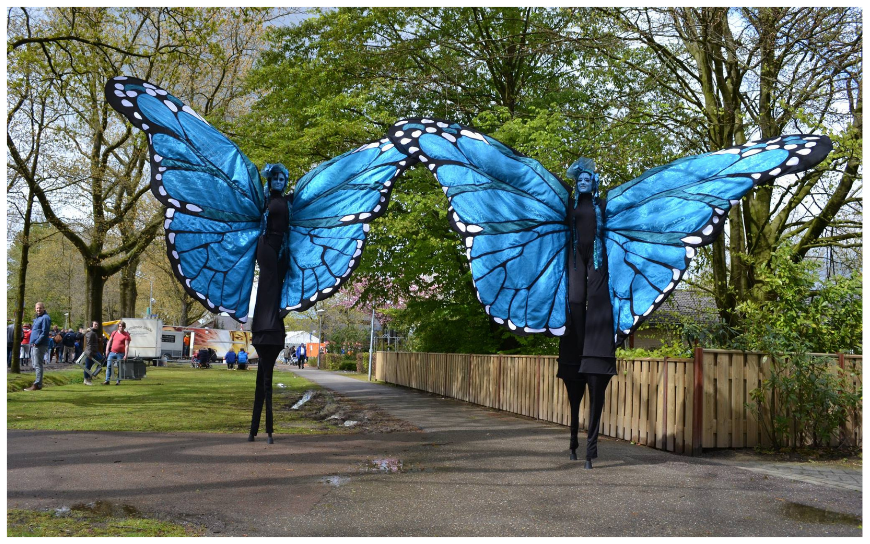 Blauwe Vlinders Steltenlopers brengen kleur, gratie en betovering naar elk event. Majestueus, opvallend en perfect voor festivals, ontvangst en winkelcentra. Een sprankelende act vol magie en beweging.