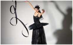 Zodra Wings begint, voelt het publiek dat er iets bijzonders gebeurt. Dansers en steltenloopsters bewegen samen in een vloeiende choreografie vol kracht en elegantie. Met optionele live muziek ontstaat een meeslepende opening die direct raakt. Een visuele en muzikale beleving voor elk evenement. Als openingsact of parade vult Wings de ruimte met beweging, emotie en energie. Perfect voor festivals, straattheater en events waar sfeer en impact centraal staan.