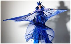 Zodra Wings begint, voelt het publiek dat er iets bijzonders gebeurt. Dansers en steltenloopsters bewegen samen in een vloeiende choreografie vol kracht en elegantie. Met optionele live muziek ontstaat een meeslepende opening die direct raakt. Een visuele en muzikale beleving voor elk evenement. Als openingsact of parade vult Wings de ruimte met beweging, emotie en energie. Perfect voor festivals, straattheater en events waar sfeer en impact centraal staan.