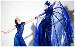 Hoog en laag komen samen in een bijzonder samenspel. De Blue Steltenloper torent elegant boven het publiek uit, terwijl Contact Juggling zorgt voor vloeiende, sierlijke bewegingen. Samen creëren zij een opvallend en verfijnd beeld. Een stijlvol duo met een unieke uitstraling. Perfect voor ontvangst, festivals, openingen en winkelcentra. Met het blauwe thema en de combinatie van dans en jongleren krijgt elk evenement direct extra allure.