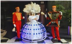 Champagne Diva Wit Gemaskerd: Stijlvolle catering met een mysterieuze twist! 🥂✨ Deze elegante diva rijdt rond in een schitterende champagne-rok op wieltjes, gevuld met meer dan 100 glazen of hapjes. Met haar mysterieuze masker en LED-verlichting past ze perfect bij thema’s zoals een Frozen-feest of een chic Masked Ball. Een unieke en stijlvolle manier om jouw gasten te verrassen! Of het nu een gala, kerstfeest of beurs is, de Champagne Diva brengt altijd iets bijzonders. Haar betoverende uitstraling en sfeervolle verlichting maken elk event speciaal, vooral in de avond. Boek nu en geef jouw evenement een exclusieve en mysterieuze touch!