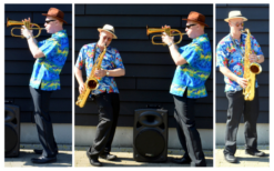 Boek het Tropisch Hawaï Dixieland Duo voor een onvergetelijk evenement. Breed repertoire, flexibele bezetting. Swingend of ontspannen, het perfecte geluid voor uw feest!