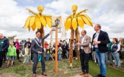 De Gouden Bloemen Steltenlopers brengen een kleurrijke en zomerse sfeer naar elk evenement. Met hun gouden bloemenkostuums bewegen ze sierlijk hoog boven het publiek. Een opvallende steltenlopers act die meteen de aandacht trekt. Perfect voor festivals, winkelcentra, bruiloften en lente- of zomerevenementen. De bloemen zorgen voor vrolijke interactie en mooie fotomomenten. Een mobiele act die kleur en sfeer toevoegt aan elk evenement.