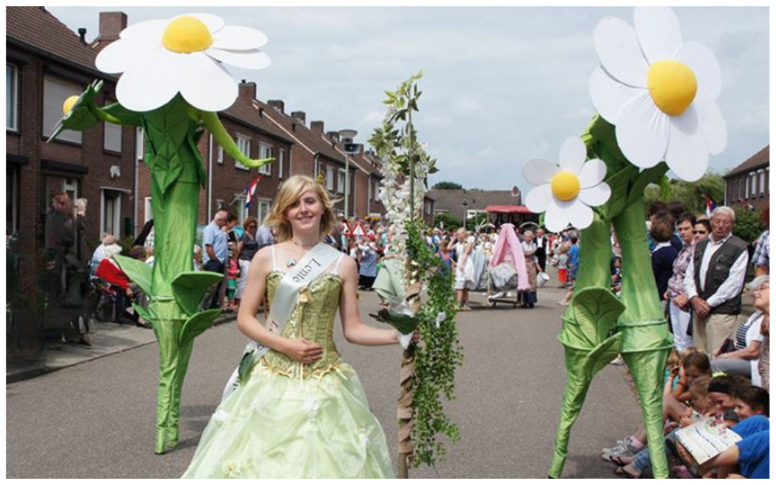 Madeliefjes Steltenlopers - Afbeelding 2