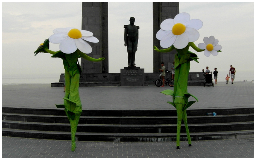 Madeliefjes Steltenlopers - Afbeelding 4