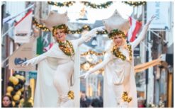 Boek De Witte Feeën Steltenlopers voor magisch en interactief entertainment. Perfect voor ontvangst, festivals en winkelcentra. Wensen, glitter en sprookjesachtige sfeer!