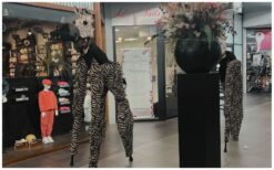 🦓 Laat je verrassen door onze Zebra Steltenlopers! Met hun hoge poten en levensechte zebra-look stelen ze direct de show. Deze unieke act brengt een vleugje jungle naar elk evenement en zorgt voor een magisch welkom. Perfect voor thema’s zoals safari, dieren of natuur. Ze bewegen sierlijk door het publiek en zorgen voor vrolijkheid en verwondering. Een echte blikvanger die je gasten niet snel zullen vergeten!