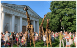 Laat je Publiek Verwonderen: Giraffen Steltenlopers, een Natuurlijke Pracht op Stelten!