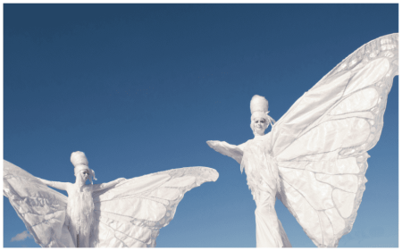 Witte Vlinders Steltenlopers - Afbeelding 4
