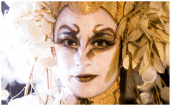 Laat jouw evenement schitteren met de Gouden Bomen Steltenlopers. Boek nu voor een betoverende gouden gloed op jouw speciale dag!