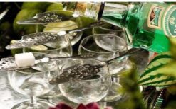 Groene fee animatie act schenkt drankjes aan gasten tijdens ontvangst entertainment op een festival, bruiloft of evenement.