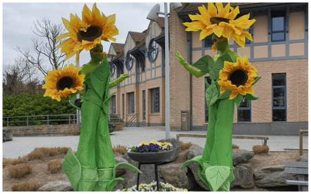 Zonnebloemen op Stelten - Afbeelding 5
