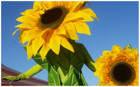 Zonnebloemen op Stelten - Afbeelding 6