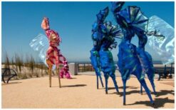 Boek zeepaardjes, waterdraakjes en vissen steltenlopers voor betoverend onderwater entertainment. Perfect voor festivals, winkelcentra en straattheater. Kleurrijk, interactief en magisch!”